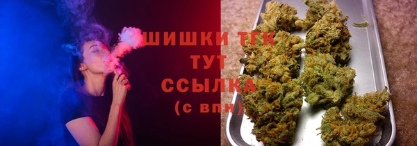 индика Ладушкин