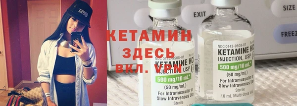 индика Ладушкин