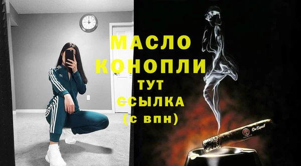 индика Ладушкин