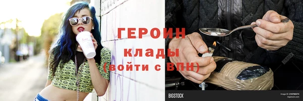 индика Ладушкин