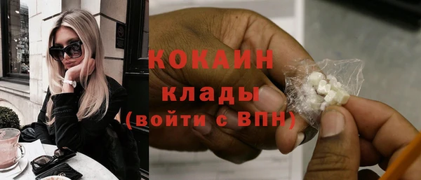 индика Ладушкин