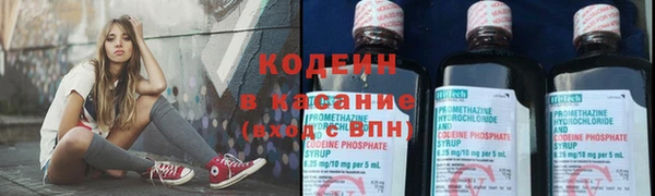 индика Ладушкин