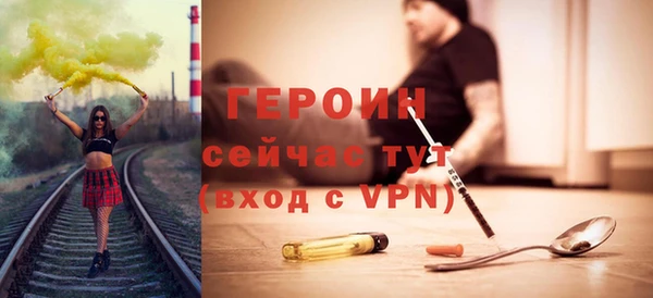 индика Ладушкин