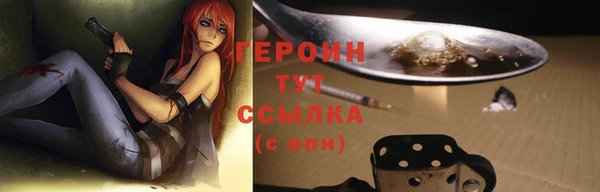 индика Ладушкин