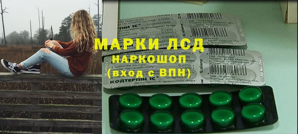 индика Ладушкин