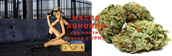 индика Ладушкин