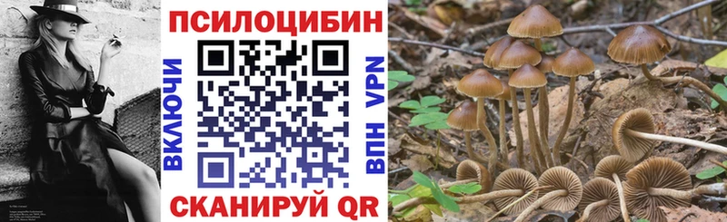 Купить  Агрыз  Псилоцибиновые грибы Magic Shrooms 